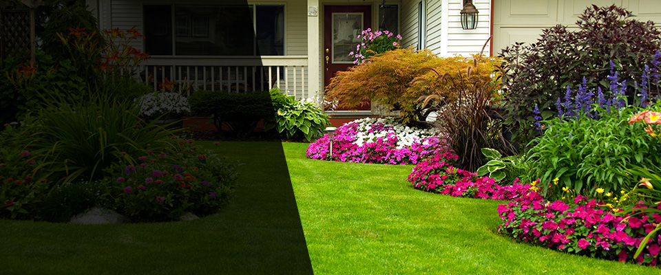 Sausalito Landscapers