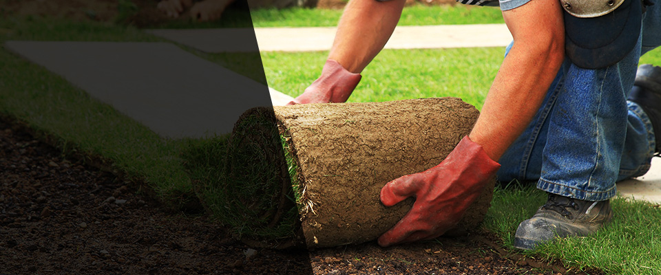 Sausalito Landscapers